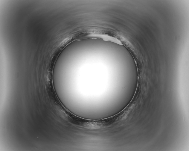 X0000086960305200704301243