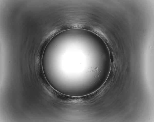 X0000086960306200704301243