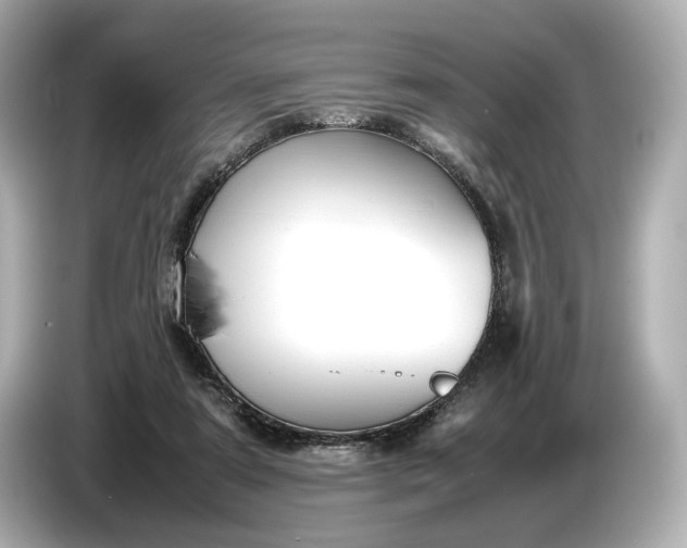 X0000086960307200704301243