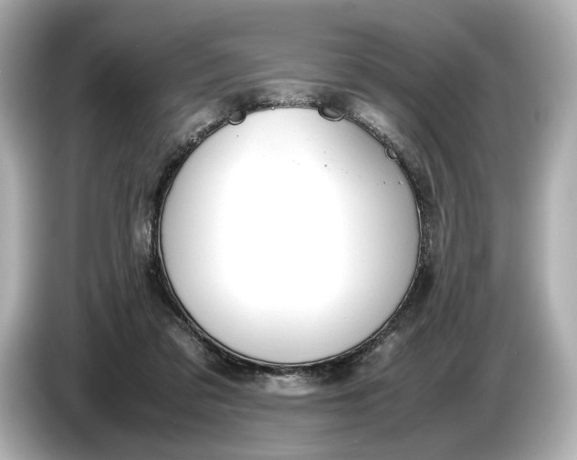 X0000086960309200704301243