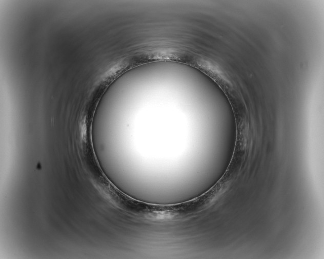 X0000086960310200704301243