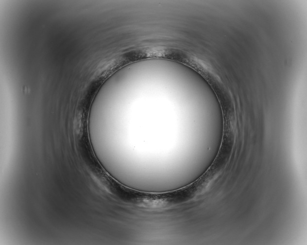X0000086960311200704301243