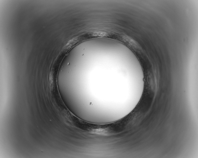 X0000086960312200704301243