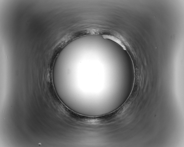 X0000086960313200704301243