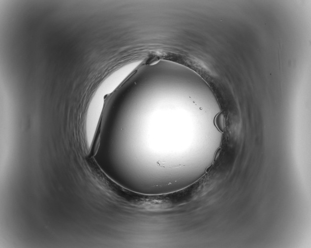 X0000086960315200704301243