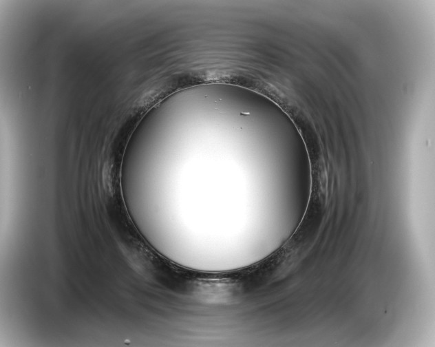 X0000086960316200704301243