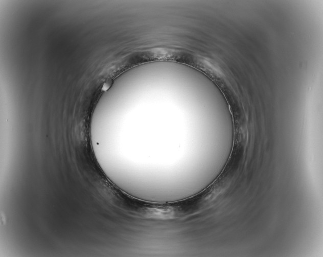 X0000086960317200704301243