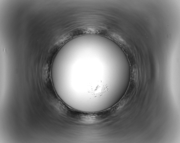 X0000086960318200704301243
