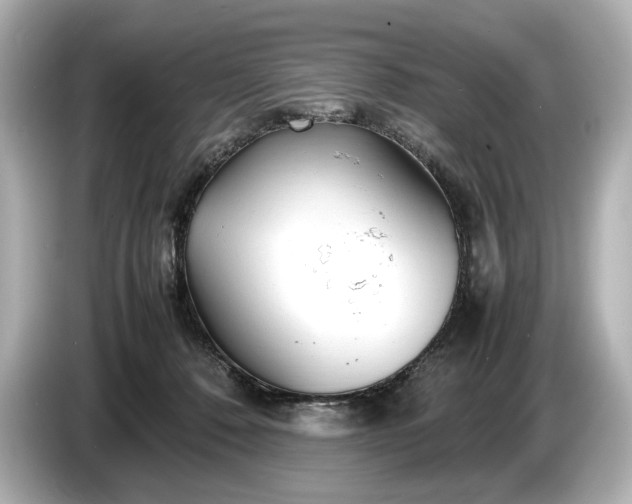 X0000086960320200704301243