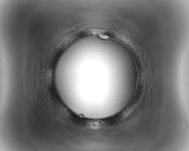 X0000086960321200704301243