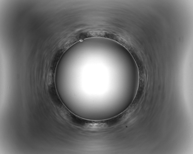 X0000086960323200704301243