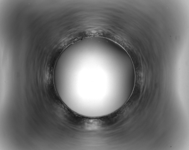 X0000086960324200704301243