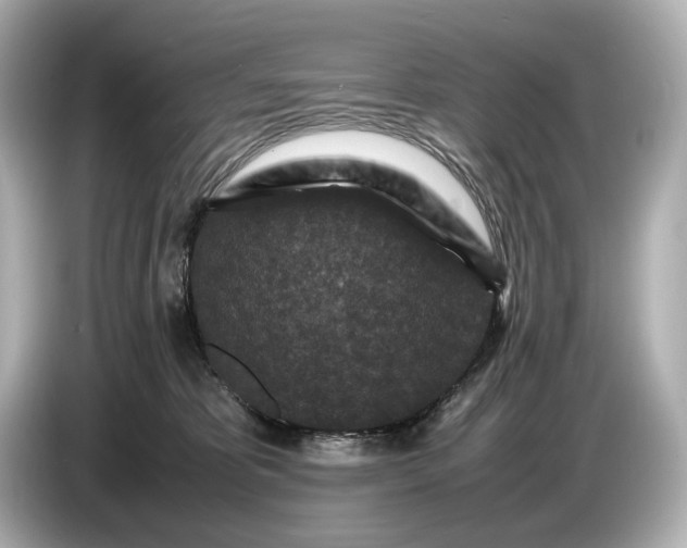 X0000086960325200704301243