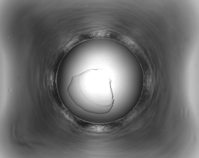 X0000086960326200704301243
