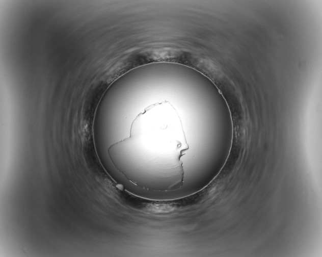 X0000086960327200704301243