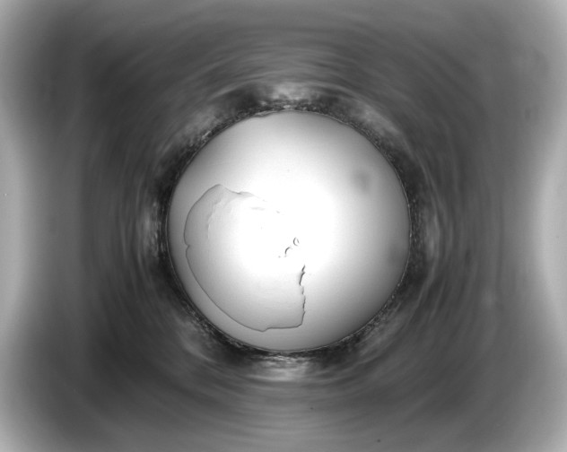 X0000086960328200704301242