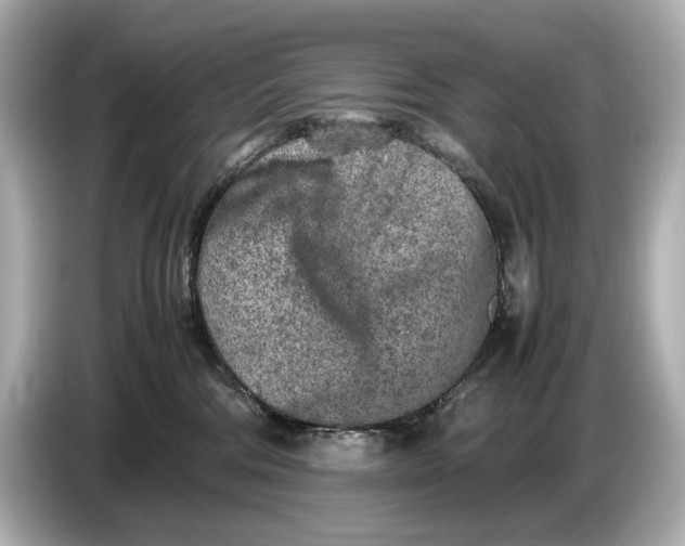 X0000086960330200704301242