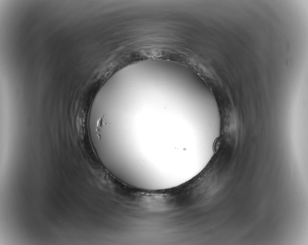 X0000086960332200704301242
