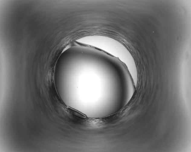 X0000086960333200704301242