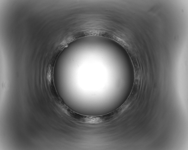 X0000086960334200704301242