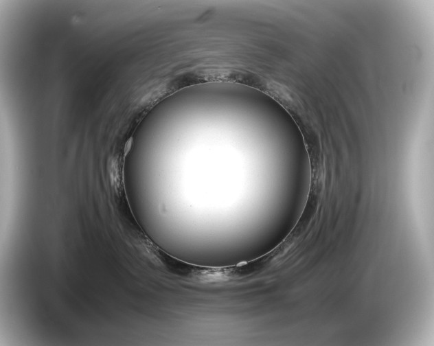 X0000086960335200704301242