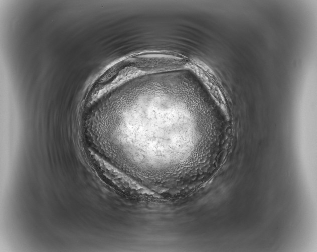 X0000086960337200704301242