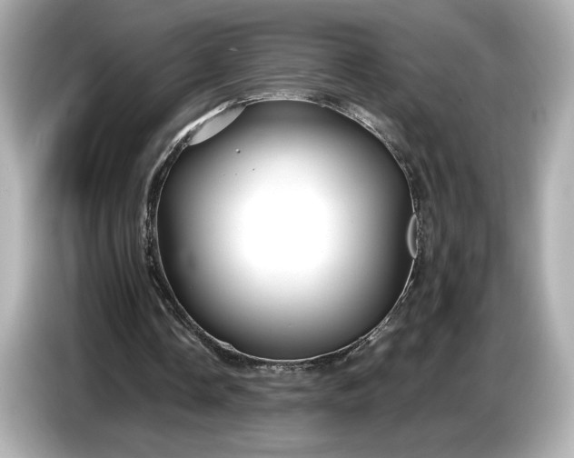 X0000086960338200704301242