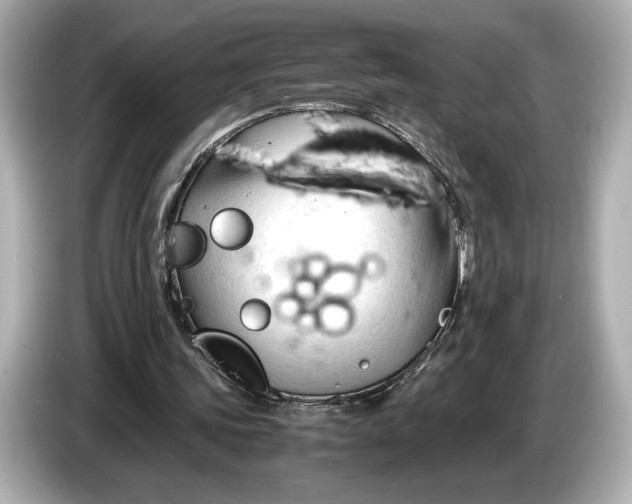 X0000086960339200704301242
