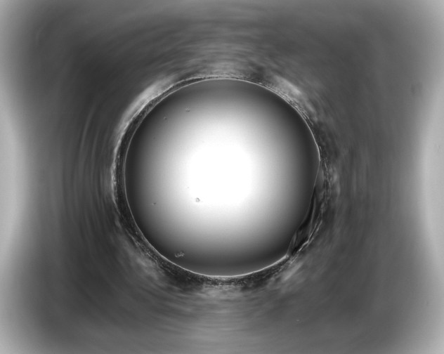 X0000086960340200704301242