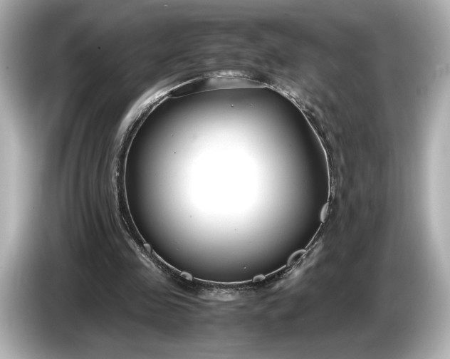 X0000086960341200704301242