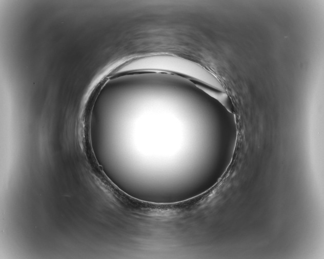 X0000086960342200704301242
