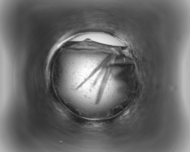 X0000086960343200704301242