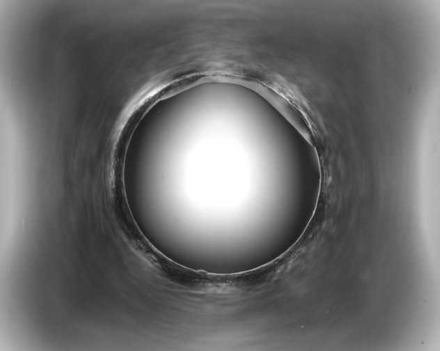 X0000086960344200704301242