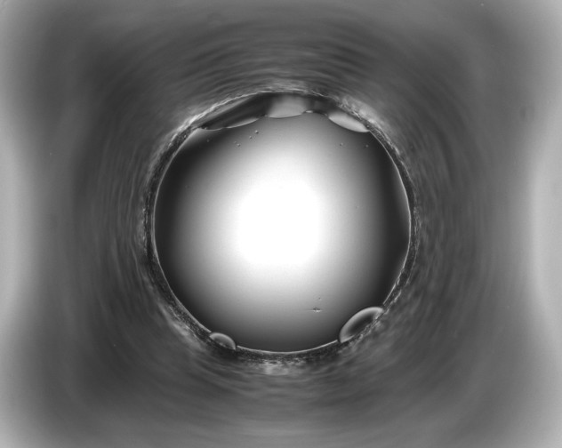 X0000086960345200704301242