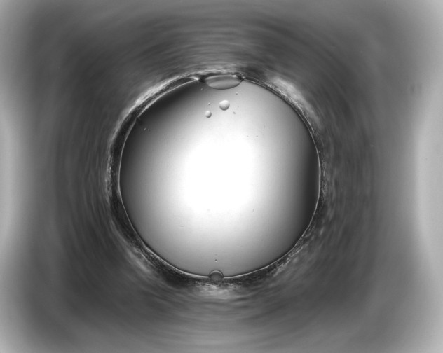X0000086960346200704301242