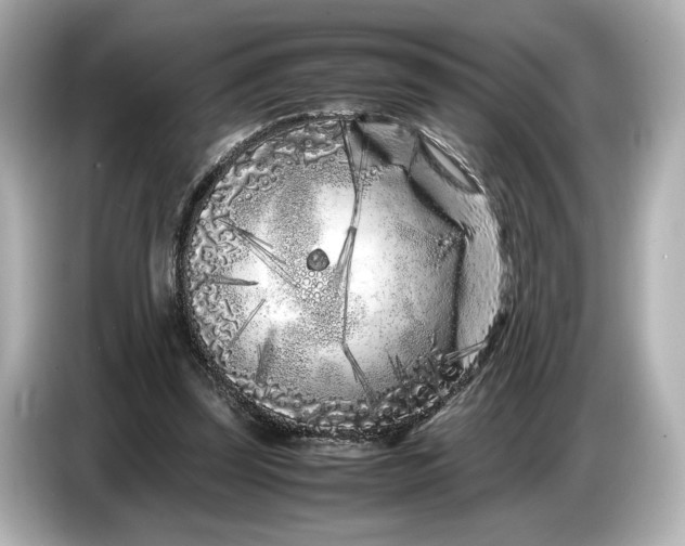 X0000086960347200704301242