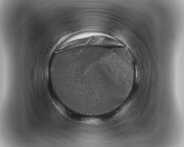 X0000086960348200704301242