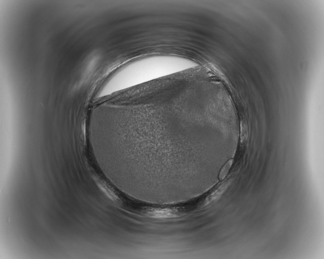 X0000086960349200704301242