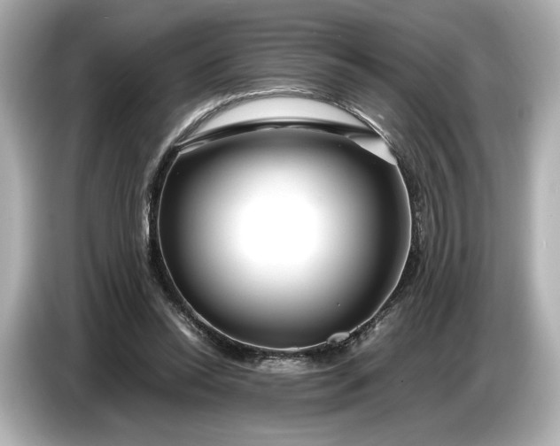 X0000086960350200704301242