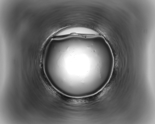 X0000086960351200704301242