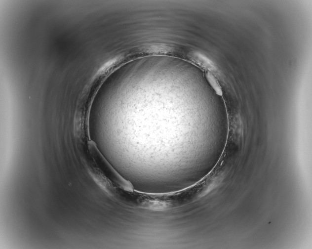 X0000086960352200704301242