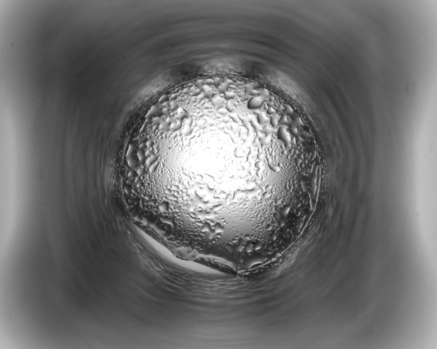 X0000086960353200704301242
