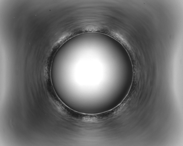 X0000086960354200704301242
