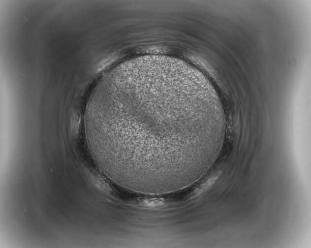 X0000086960355200704301242