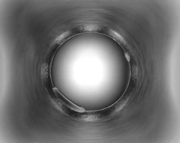 X0000086960356200704301242