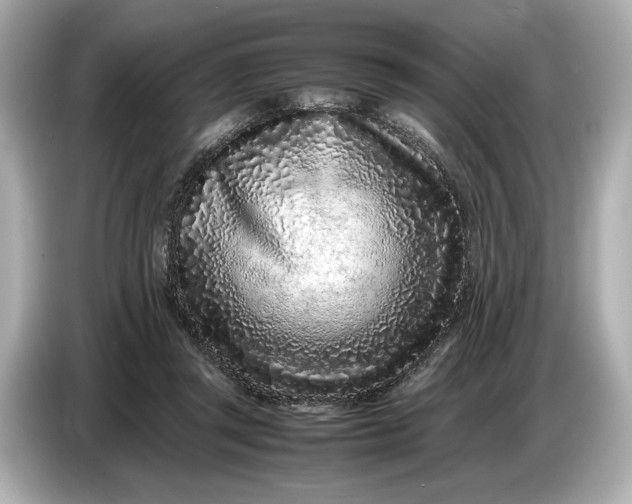 X0000086960357200704301242