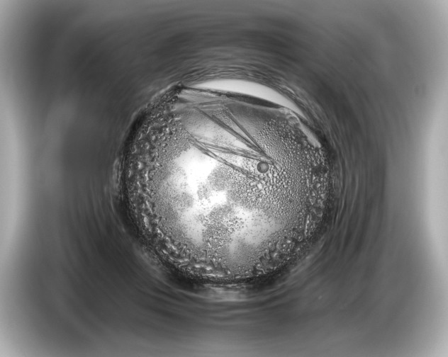 X0000086960359200704301242