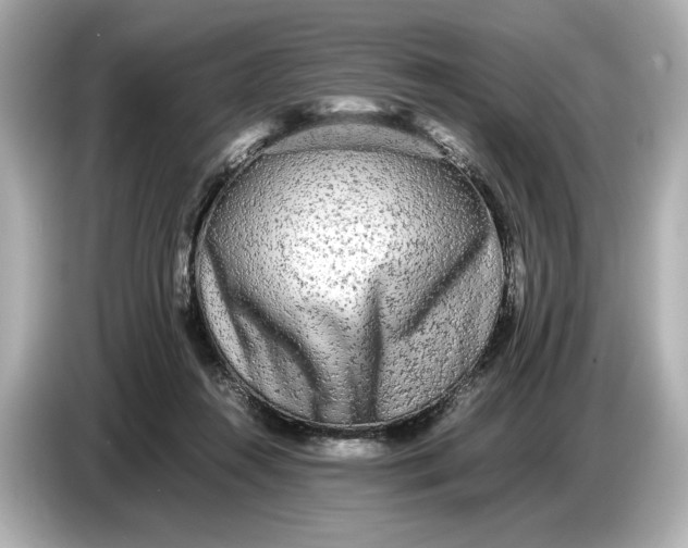 X0000086960360200704301242