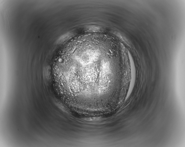 X0000086960361200704301242