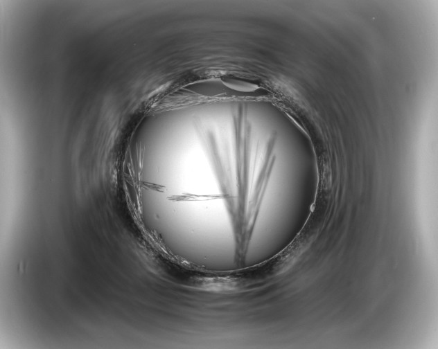 X0000086960363200704301242
